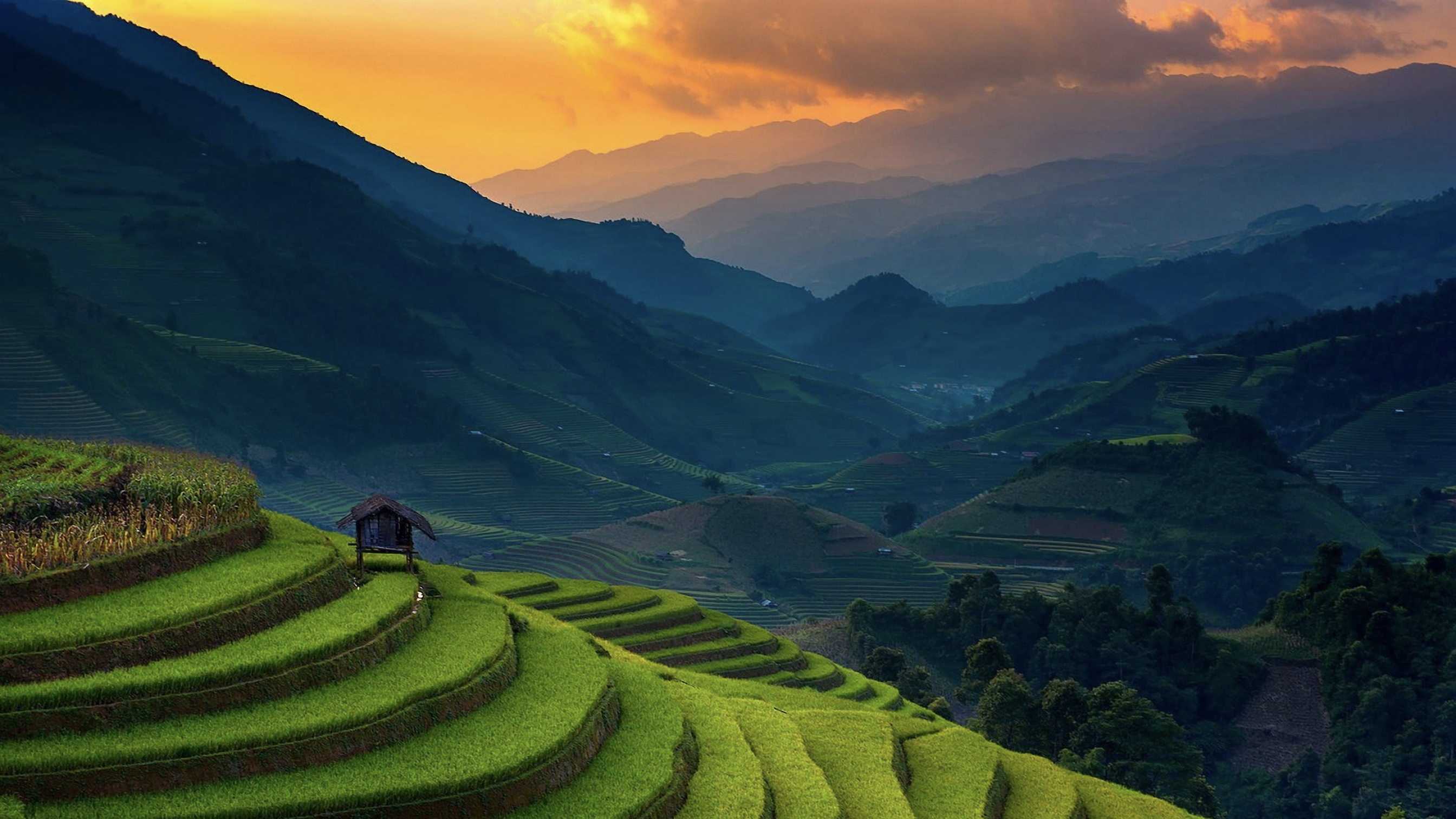 Vietnam